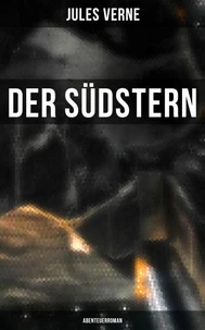 Der Südstern: Abenteuerroman