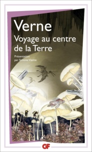 Jules Verne - La bibliothèque idéale des 50 ans GF Tome 6 : Voyage au centre de la Terre.