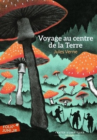 Jules Verne - Voyage au centre de la Terre - Texte abrégé.