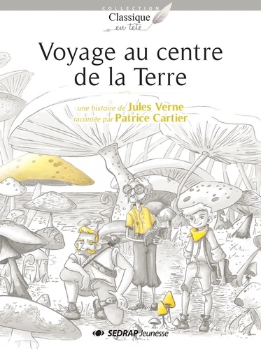 Voyage au centre de la Terre de Jules Verne - Poche - Livre - Decitre