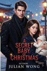 A Secret Baby for Christmas