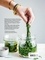 Algues. 60 recettes gourmandes et iodées pour faire le plein d'énergie