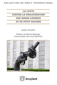 Julien Ancelin - La lutte contre la prolifération des armes légères et de petit calibre.