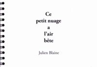 Julien Blaine - Ce petit nuage a l'air bête.