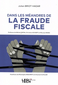 Julien Briot-Hadar - Dans les méandres de la fraude fiscale.