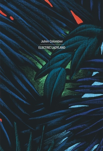 Julien Colombier - Electric Ladyland.