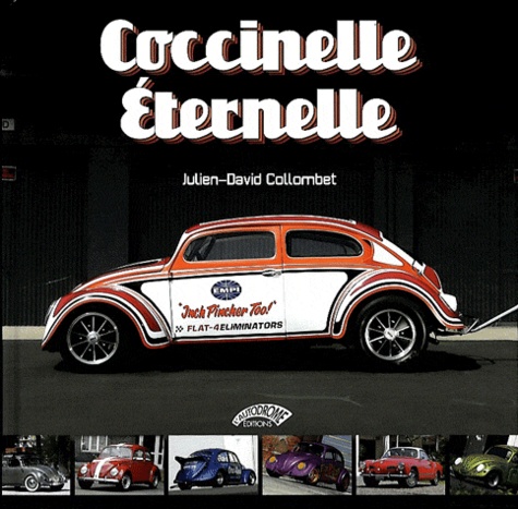 Julien-David Collombet - Coccinelle éternelle.