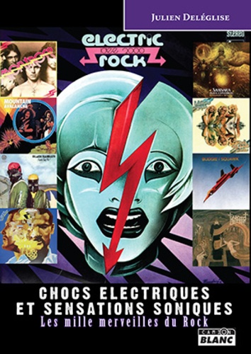 Julien Deléglise - Chocs électriques et sensations soniques, les mille merveilles du rock.