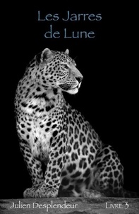 Téléchargez les meilleures ventes ebooks Trois âmes, trois femmes, une destinée - Livre 3 - Les Jarres de Lune par Julien Desplendeur in French