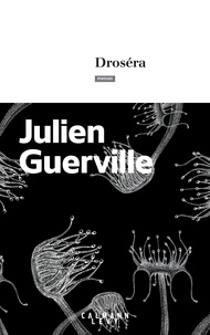 Julien Guerville - Droséra.