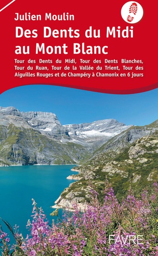 Julien Moulin - Des dents du Midi au Mont Blanc.