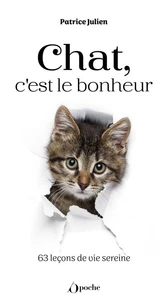 Chat, c'est le bonheur
