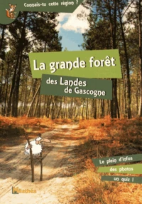 La grande forêt des Landes de Gascogne