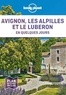 Julien Trambouze et Elodie Rothan - Avignon, les Alpilles et le Luberon en quelques jours. 1 Plan détachable