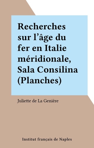 Recherches sur l'âge du fer en Italie méridionale, Sala Consilina (Planches)