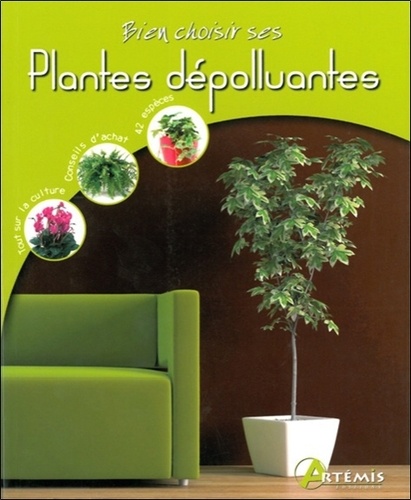 Juliette Dèze - Bien choisir ses plantes dépolluantes.