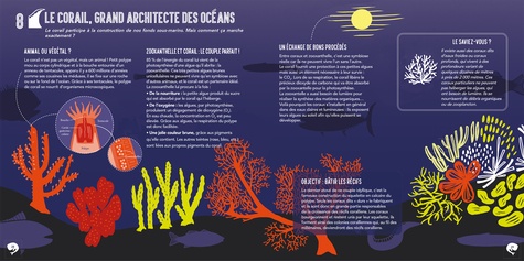 Océanographie. Comprendre l'océan en 50 planches illustrées