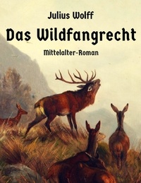 Julius Wolff - Das Wildfangrecht - Mittelalterroman.