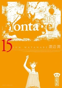 Montage Tome 15