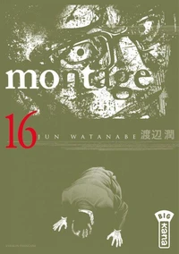 Montage Tome 16