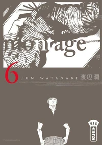 Montage Tome 6