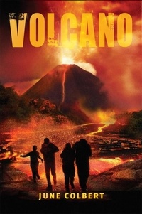 June Colbert - Volcano.