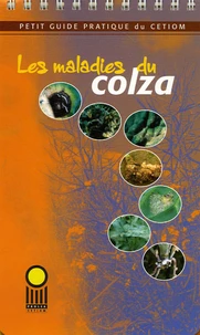 Les maladies du colza