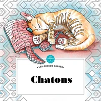 Les grands carrés Chatons