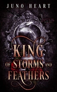 King of Storms and Feathers: Een duistere Fae fantasy-romance