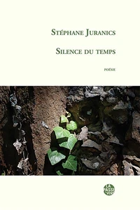 Silence du temps