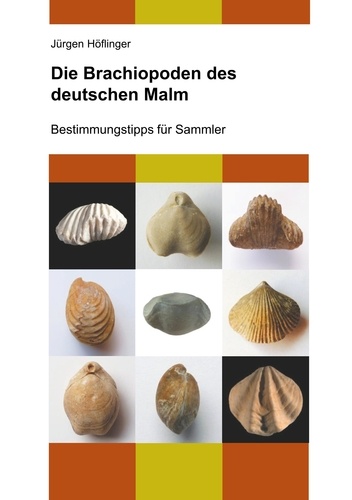Die Brachiopoden des deutschen Malm. Bestimmungstipps für Sammler