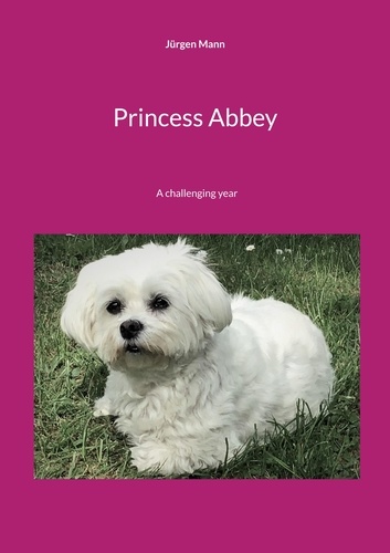 Princess Abbey. A challenging year