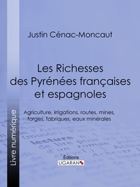 Justin Cénac-Moncaut et  Ligaran - Les Richesses des Pyrénées françaises et espagnoles - Ce qu'elles furent, ce qu'elles sont, ce qu'elles peuvent être - Agriculture, irrigations, routes, mines, forges, fabriques, eaux minérales.