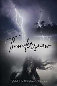 Thundersnow