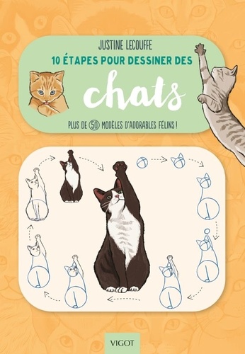 10 étapes pour dessiner les chats. Plus de 50 modèles modèles d'adorables félins !