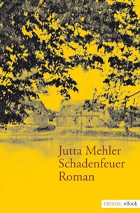 Schadenfeuer