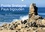 CALVENDO Nature  Pointe Bretagne Pays bigouden (Calendrier mural 2020 DIN A3 horizontal). Visions photographiques de la Bretagne (Calendrier mensuel, 14 Pages )