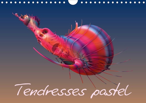 CALVENDO Art  Tendresses pastel (Calendrier mural 2020 DIN A4 horizontal). Compositions fractales numériques (Calendrier mensuel, 14 Pages )