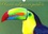 CALVENDO Animaux  Oiseaux exotiques en peinture (Calendrier mural 2020 DIN A4 horizontal). Série de 12 créations originales d'oiseaux exotiques des espèces les plus colorées (Calendrier mensuel, 14 Pages )