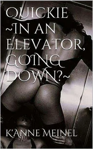 Quickie in an Elevator.  Going down?