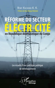 Réforme du secteur de l'électricité en République démocratique du Congo
