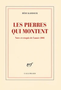 Les pierres qui montent