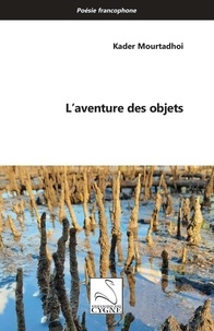 Kader Mourtadhoi - L'aventure des objets.