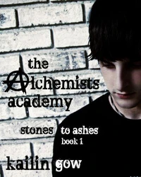 The Alchemists Academy Book 1:  Stones to Ashes