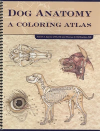 Dog Anatomy