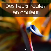 Des fleurs hautes en couleur (Calendrier mural 2017 300 × 300 mm Square)