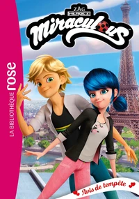 Avis de tempête