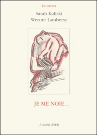 Je Me Noie...