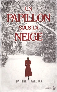 Un papillon sous la neige