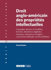 Droit anglo-américain des propriétés intellectuelles